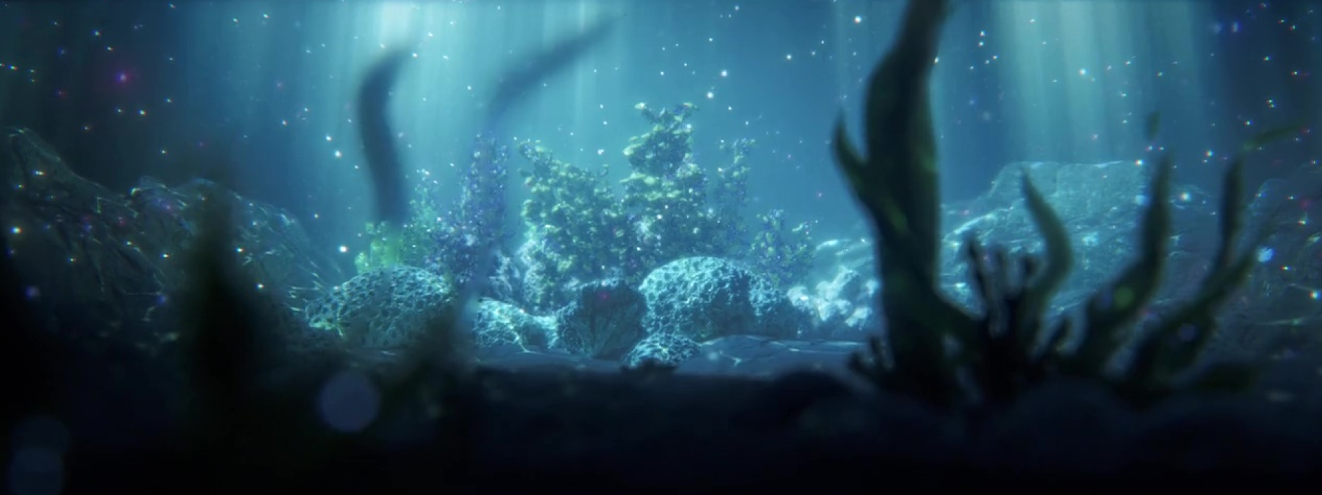 Bioluminescent environment